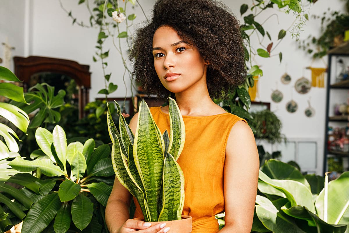 PRP microneedling Jefferson County Foothills CO